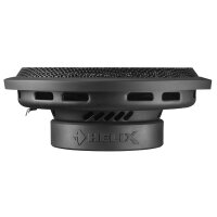 HELIX IK S10 - Flacher 250 mm Subwoofer mit 2 x 2 Ohm Schwingspule für kompakte Gehäuse
